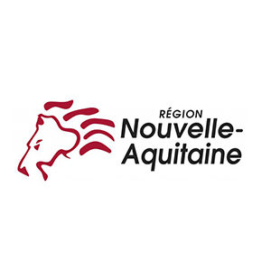 logo-web-regionNA